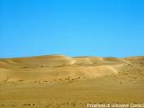 YEMEN (03) - Deserto del Ramlat as-Sab'atayn - 25